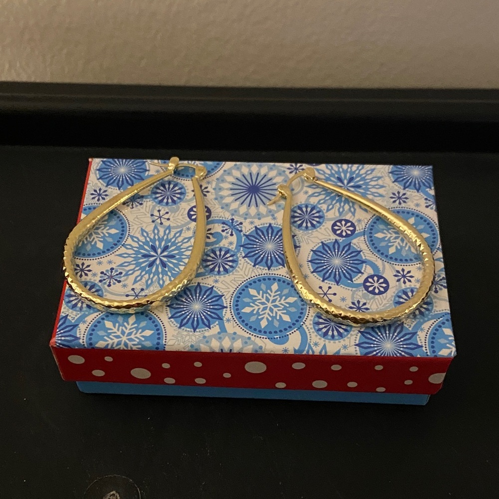 Elegant Gold Hoop Earrings